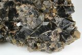 Smoky Quartz Crystal Cluster with Phantoms - Poland #177266-3